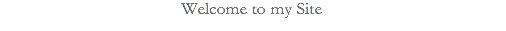 Text Box: Welcome to my Site